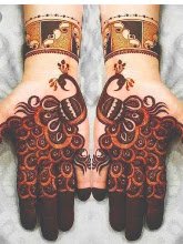 Kapil Mehandi Art