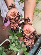 Rajasthani mehndi art