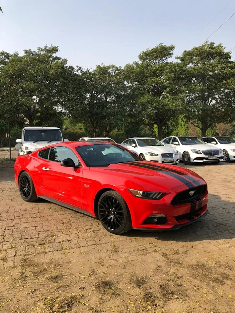 Bani Wedding Car Land